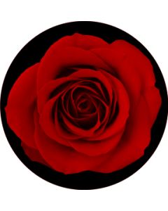 Red Rose gobo